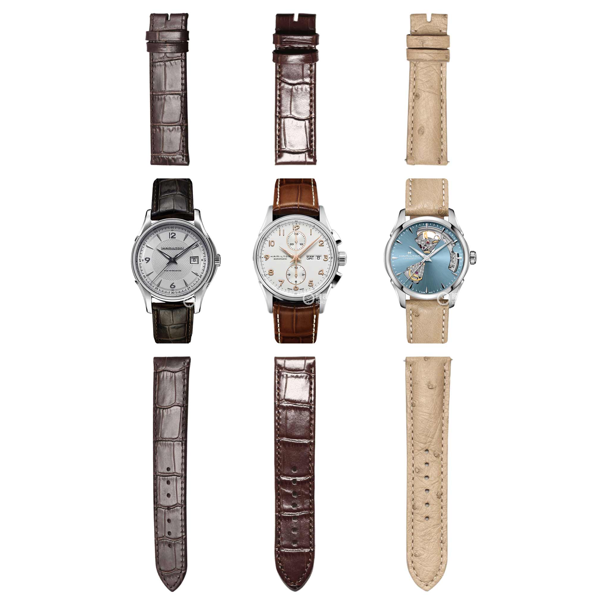 Watch display showing compatible strap for Hamilton Jazzmaster H32515555